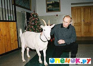 Целоваться любят все! Даже Путин! (11 фото)