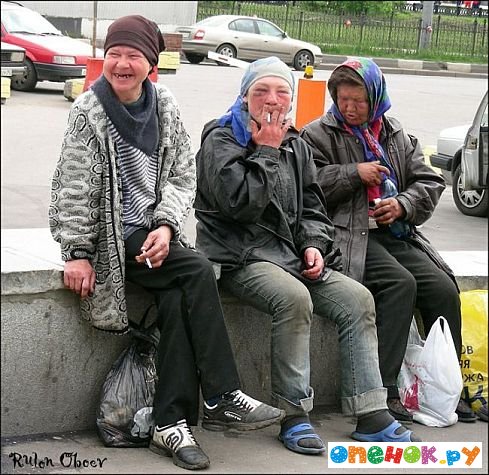Какие же все-таки красивые эти бездомные!=))) (16 фото)