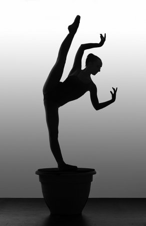 Креатив с балеринами от Richard Calmes (24 фото)