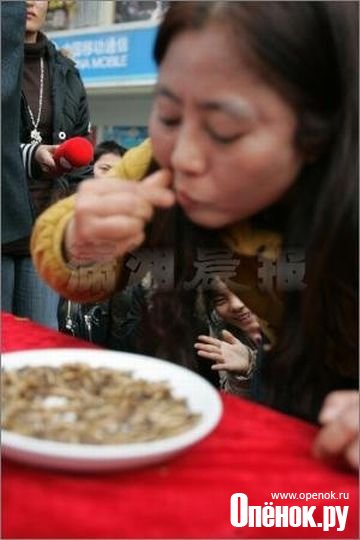 Китайская народная забава. Поедание червей на скорость (13 фото)
