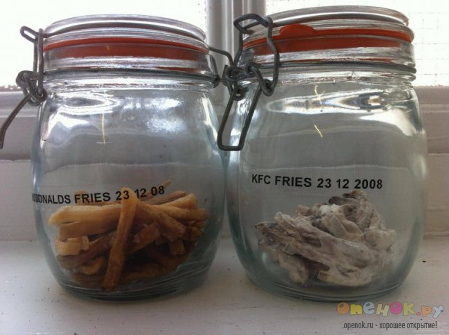 Во что превращается картошка из Макдоналдса и KFC за 3 года