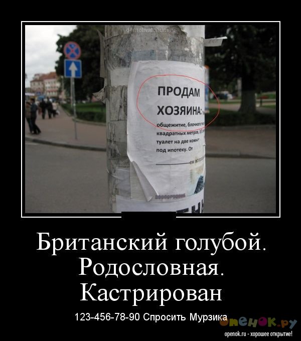 Демотиваторы 15.09.2012 (60 фото)