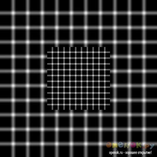 Оптические иллюзии (19 фото)